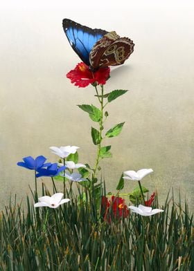 Butterfly on flower