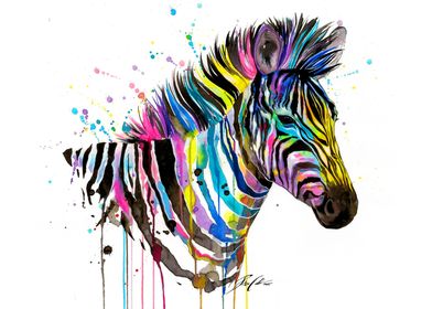 Rainbow zebra