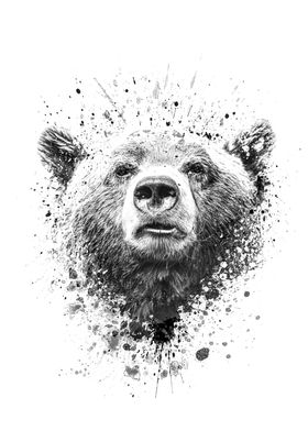 Bear face splatter 