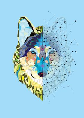 Wolf  head in geometric