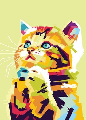Colourful Cat