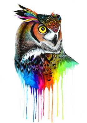 Rainbow owl