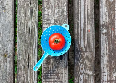 Tomato in blue colander 