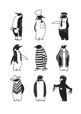 Know Your Penguins