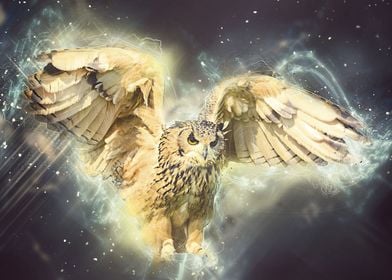 Fantasy Wild Owl Hunting