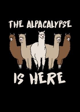 The Alpacalypse is here