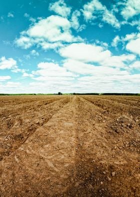 Plowed Furrows