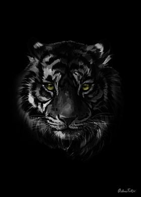 Tiger in the darkness