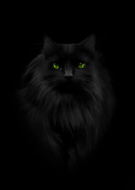 Black cat in darkness