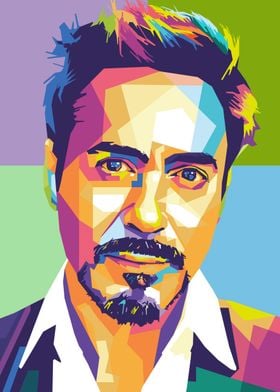 Robert John Downey Jr 