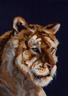 expressionist tiger