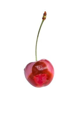 Ruby Da Cherry