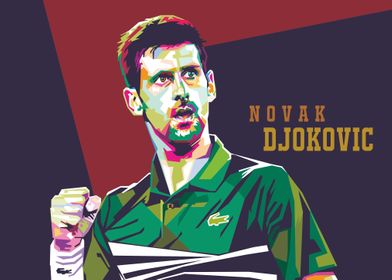 Novak Djokovic Tennis Play