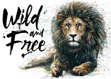 Lion wild and free