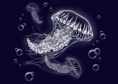 Jellyfish White on Black