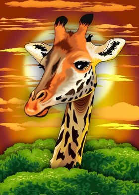 Giraffe Wild Animal