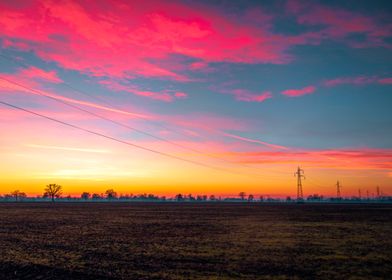 Red Sunset Field 