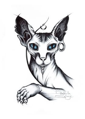 Sphynx o Gato Esfinge