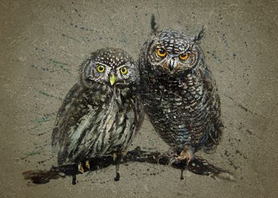 Little Owls background