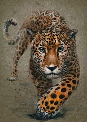 Leopard background