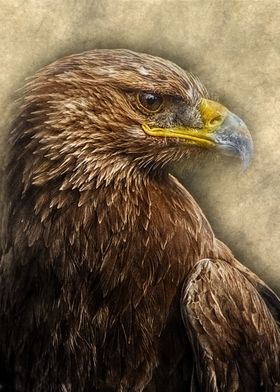 Eagle