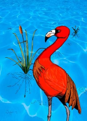 Flamingo Chillin