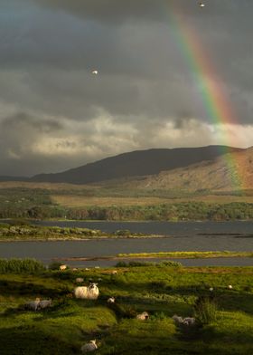 So much Ireland