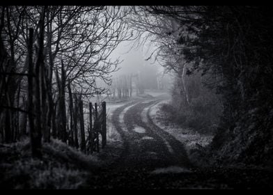 Foggy Road