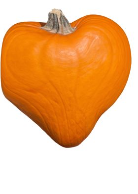 pumpkin heart and love