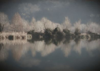 winter reflection on lake