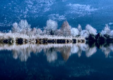 winter reflection on lake