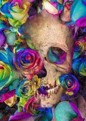 Rainbow Rose Skull