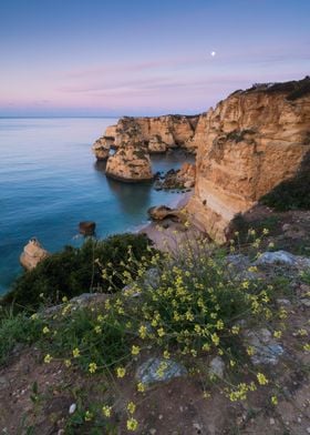 Cliffs of Algarve