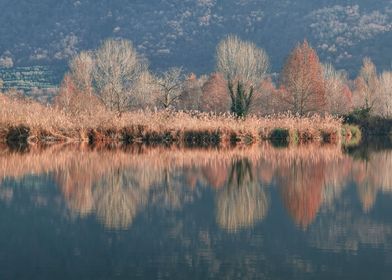 winter reflection on lake