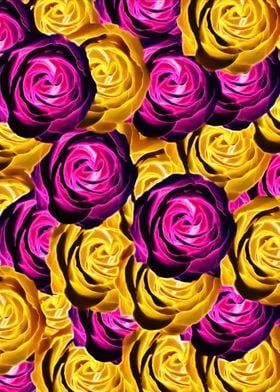 pink and yellow rose