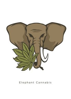 Elephant Cannabis