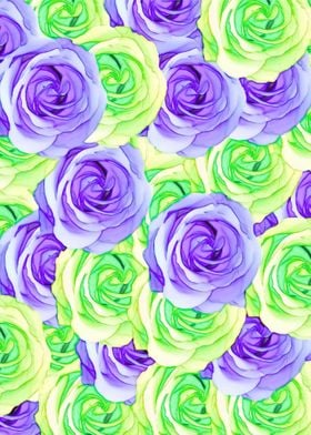 purple and green rose