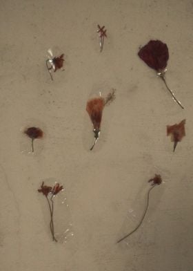 Dead Flowers