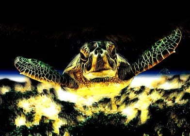 Glowing Tortoise 