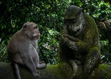Monkey with Monkey statue
