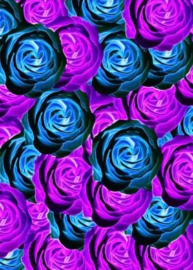 purple and blue rose