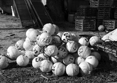 Fishing buoys in dock