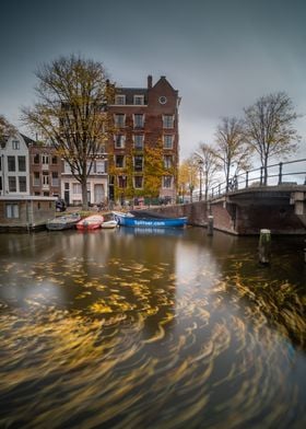 Autumn Leaves in Amsterdam