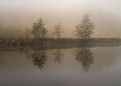 Reflection in Semois River