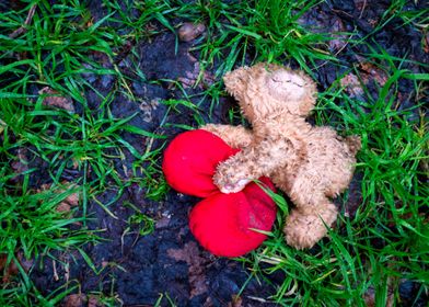 Discarded teddy bear