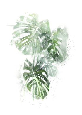 Abstract Monstera Leves