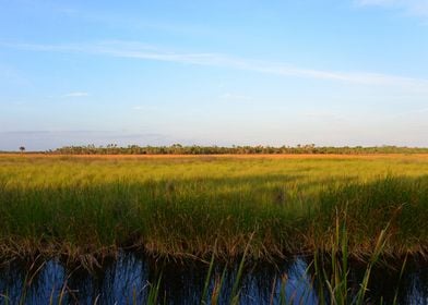 Florida Everglades 