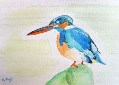 Kingfisher