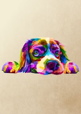 King Charles Spaniel