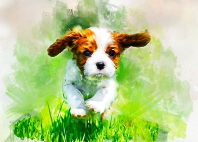 Watercolor Cavalier puppy